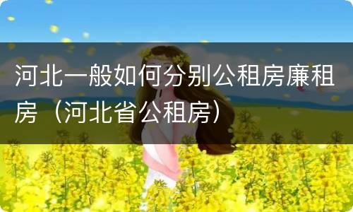 河北一般如何分别公租房廉租房（河北省公租房）