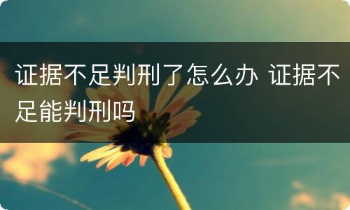 证据不足判刑了怎么办 证据不足能判刑吗