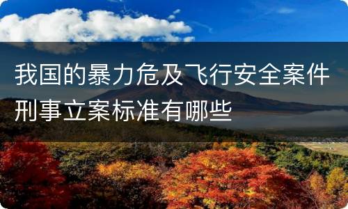 我国的暴力危及飞行安全案件刑事立案标准有哪些