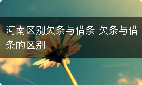 河南区别欠条与借条 欠条与借条的区别