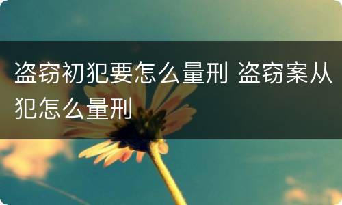 盗窃初犯要怎么量刑 盗窃案从犯怎么量刑