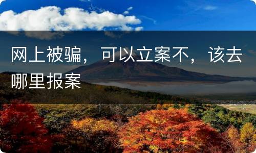 网上被骗，可以立案不，该去哪里报案