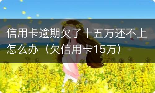 信用卡逾期欠了十五万还不上怎么办（欠信用卡15万）