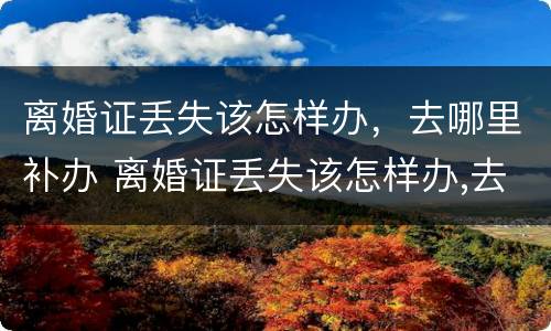 离婚证丢失该怎样办，去哪里补办 离婚证丢失该怎样办,去哪里补办手续