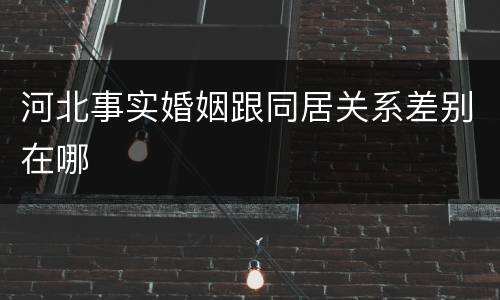 河北事实婚姻跟同居关系差别在哪