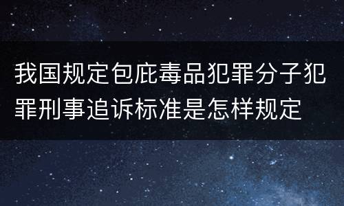 我国规定包庇毒品犯罪分子犯罪刑事追诉标准是怎样规定