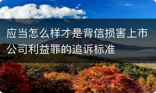 应当怎么样才是背信损害上市公司利益罪的追诉标准