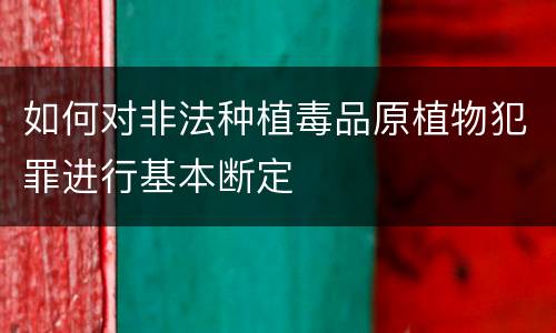 如何对非法种植毒品原植物犯罪进行基本断定