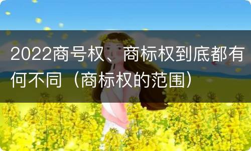 2022商号权、商标权到底都有何不同（商标权的范围）