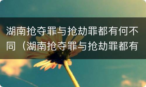 湖南抢夺罪与抢劫罪都有何不同（湖南抢夺罪与抢劫罪都有何不同之处）