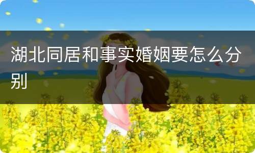 湖北同居和事实婚姻要怎么分别