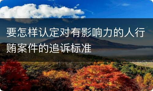 要怎样认定对有影响力的人行贿案件的追诉标准