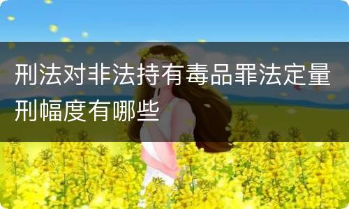 刑法对非法持有毒品罪法定量刑幅度有哪些