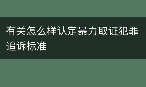 有关怎么样认定暴力取证犯罪追诉标准