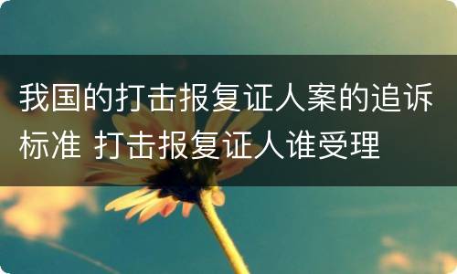 我国的打击报复证人案的追诉标准 打击报复证人谁受理