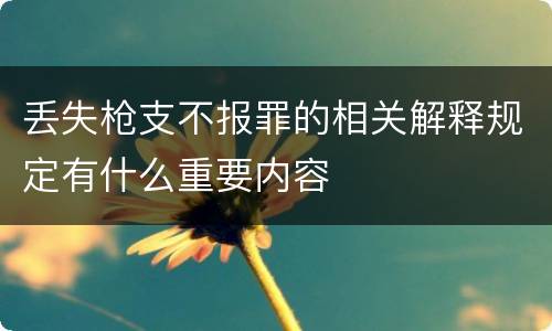 丢失枪支不报罪的相关解释规定有什么重要内容