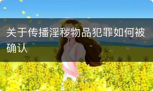 关于传播淫秽物品犯罪如何被确认