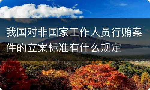 我国对非国家工作人员行贿案件的立案标准有什么规定