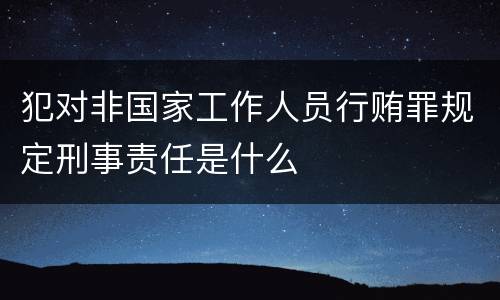犯对非国家工作人员行贿罪规定刑事责任是什么