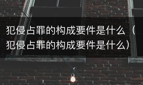 犯侵占罪的构成要件是什么（犯侵占罪的构成要件是什么）