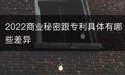 2022商业秘密跟专利具体有哪些差异