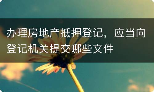 办理房地产抵押登记，应当向登记机关提交哪些文件