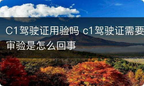 C1驾驶证用验吗 c1驾驶证需要审验是怎么回事