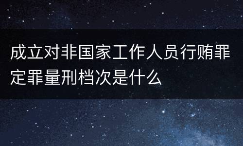 成立对非国家工作人员行贿罪定罪量刑档次是什么