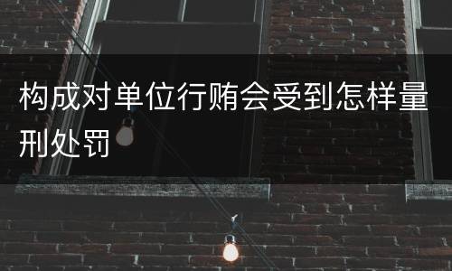 构成对单位行贿会受到怎样量刑处罚