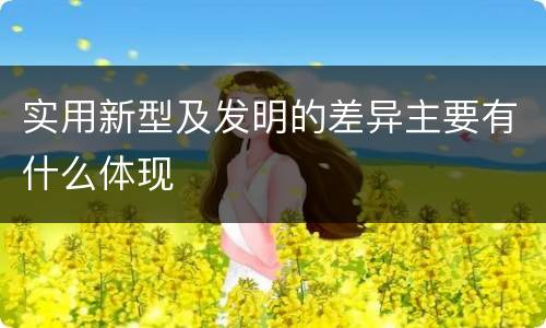 实用新型及发明的差异主要有什么体现
