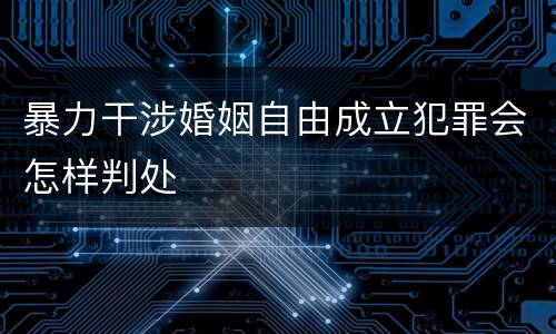 暴力干涉婚姻自由成立犯罪会怎样判处