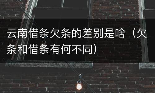 云南借条欠条的差别是啥（欠条和借条有何不同）