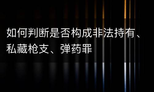 如何判断是否构成非法持有、私藏枪支、弹药罪
