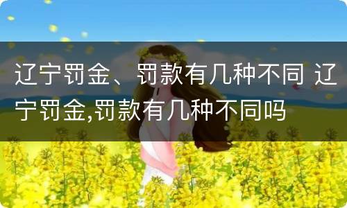 辽宁罚金、罚款有几种不同 辽宁罚金,罚款有几种不同吗