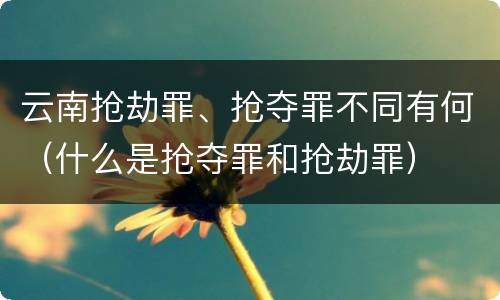 云南抢劫罪、抢夺罪不同有何（什么是抢夺罪和抢劫罪）
