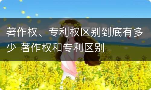 著作权、专利权区别到底有多少 著作权和专利区别