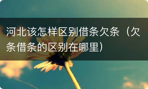 河北该怎样区别借条欠条（欠条借条的区别在哪里）