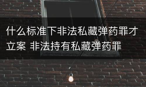 什么标准下非法私藏弹药罪才立案 非法持有私藏弹药罪