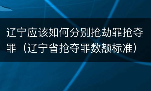 辽宁应该如何分别抢劫罪抢夺罪（辽宁省抢夺罪数额标准）
