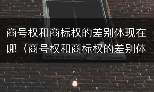 商号权和商标权的差别体现在哪（商号权和商标权的差别体现在哪些方面）