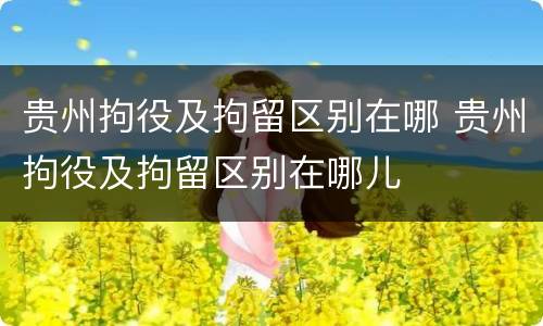 贵州拘役及拘留区别在哪 贵州拘役及拘留区别在哪儿