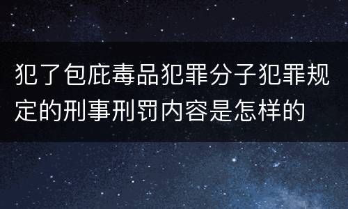犯了包庇毒品犯罪分子犯罪规定的刑事刑罚内容是怎样的