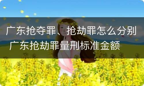 广东抢夺罪、抢劫罪怎么分别 广东抢劫罪量刑标准金额