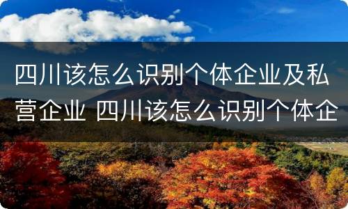 四川该怎么识别个体企业及私营企业 四川该怎么识别个体企业及私营企业呢