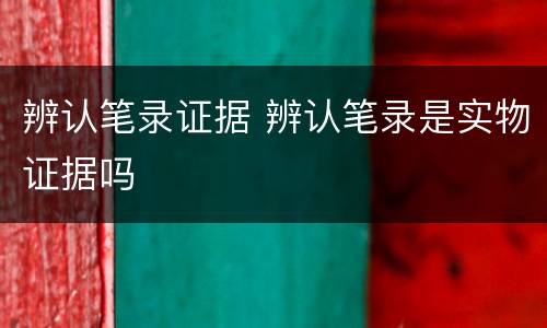 辨认笔录证据 辨认笔录是实物证据吗