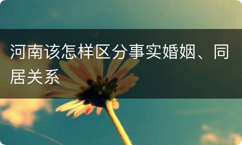 河南该怎样区分事实婚姻、同居关系