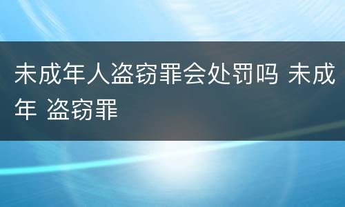 未成年人盗窃罪会处罚吗 未成年 盗窃罪