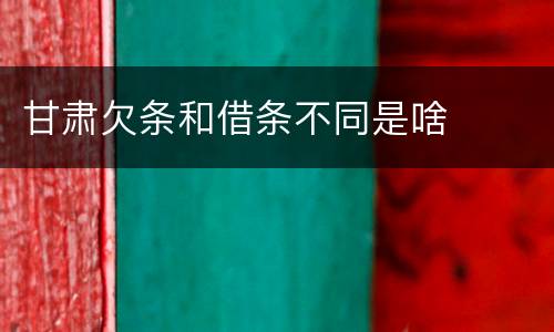甘肃欠条和借条不同是啥