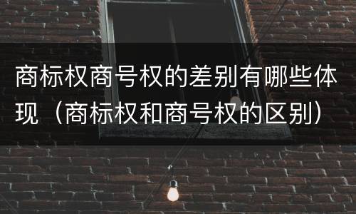 商标权商号权的差别有哪些体现（商标权和商号权的区别）