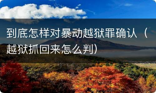 到底怎样对暴动越狱罪确认（越狱抓回来怎么判）